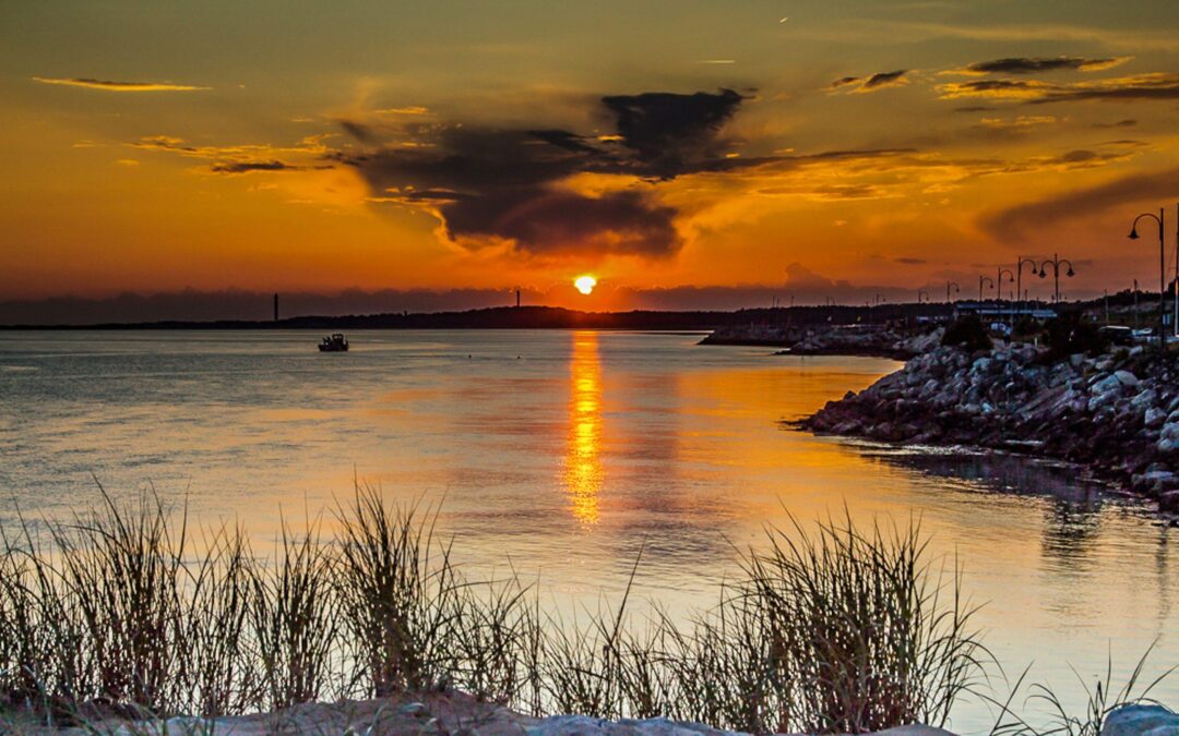 14 en 15 maart kunst expoXXL 2020 in Oosterblokker