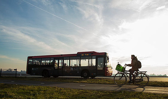 bus