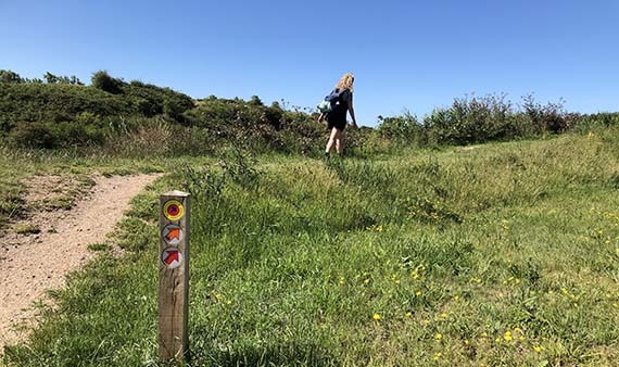 wandel
