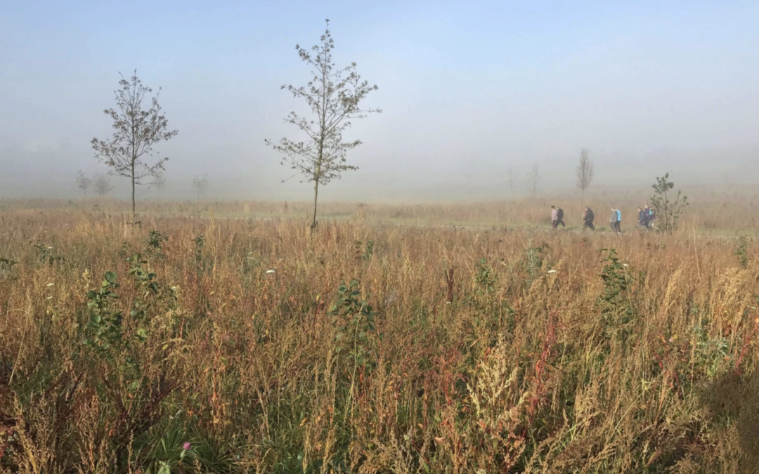 Wethouder Nieuwenhuizen brengt werkbezoek aan natuurbegraafplaats Geestmerloo