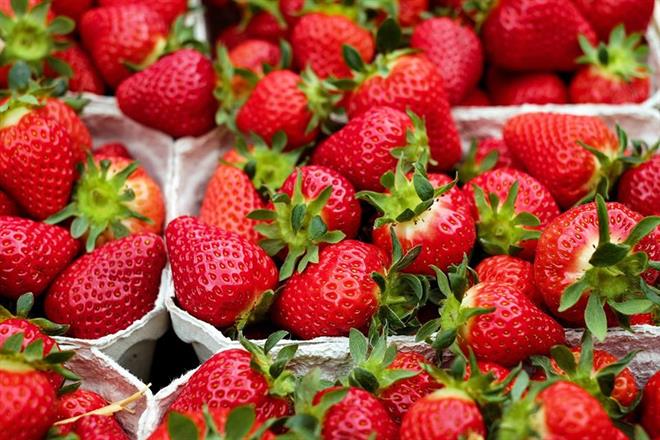 aardbeien