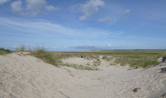 2015 Texel