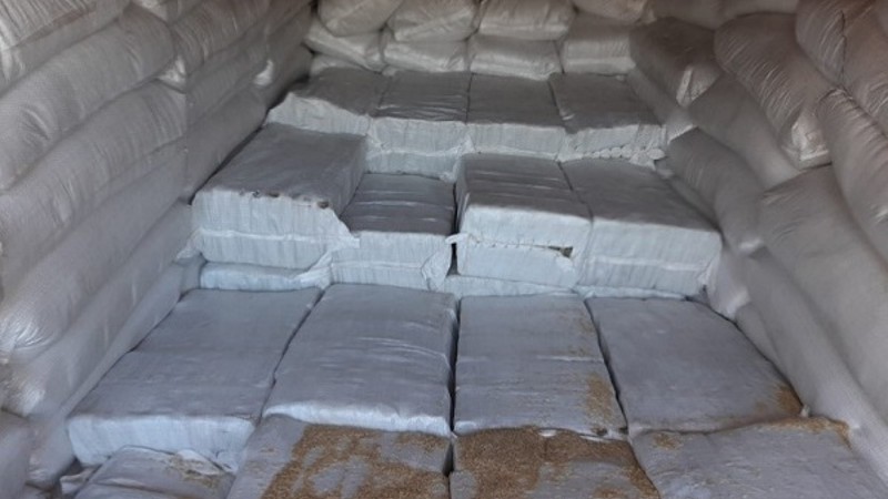 fortius-partij-cocaine
