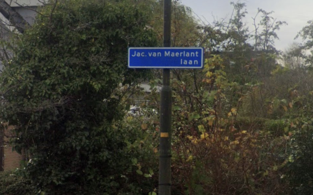 Steekincident in steeg aan de Jac. van Maerlantlaan