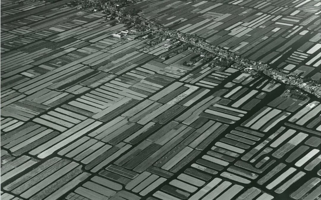 De impact van de verkaveling op het leven van de tuinders